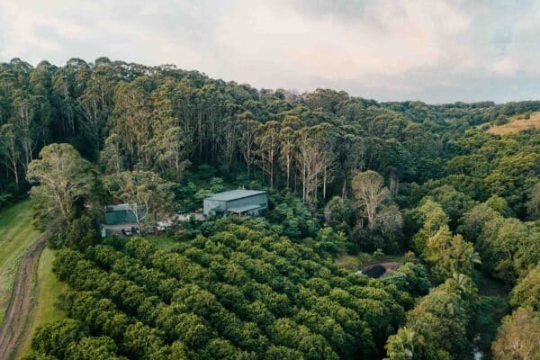 cape byron distilleries