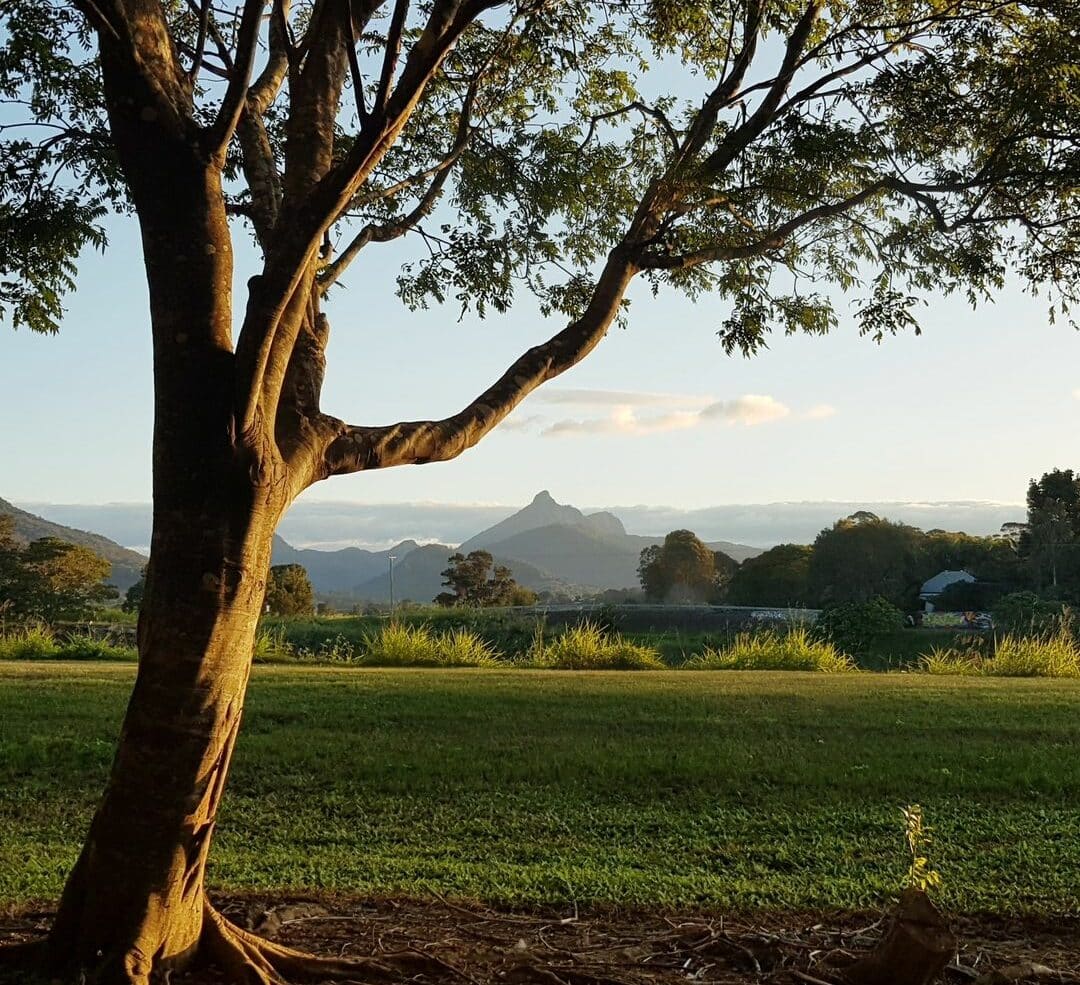 View of Wollumbin from Murwillumbah