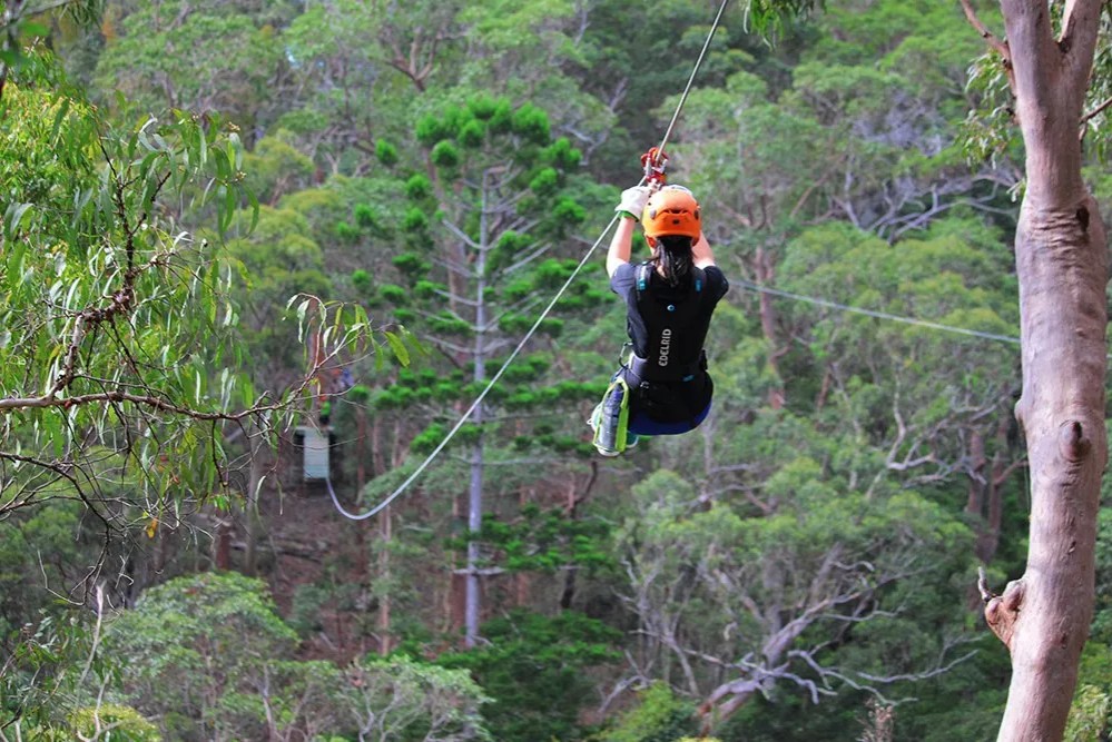 ziplining on Tamborine Mountain