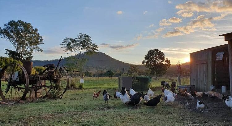 Scenic Rim farm stay