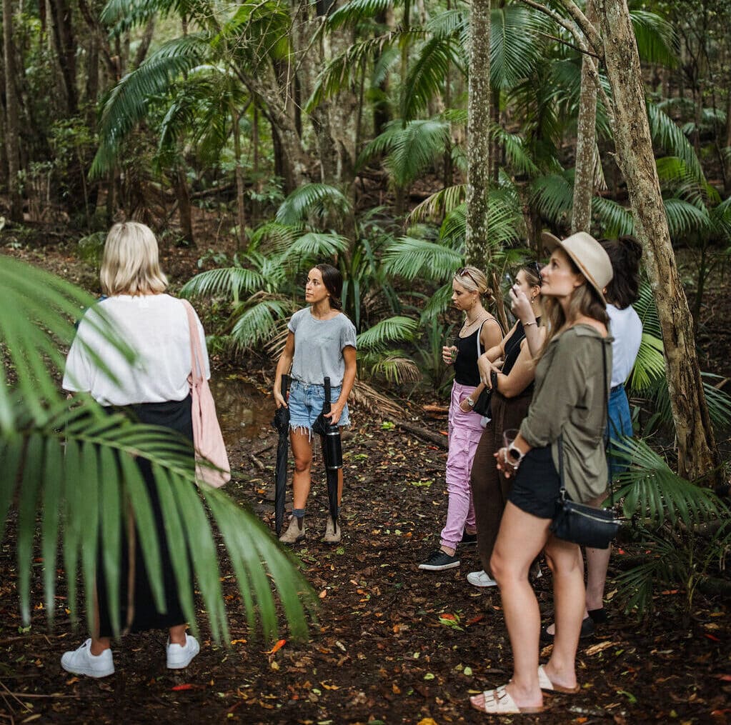 Cape Byron Distillery rainforest tour in Byron Bay