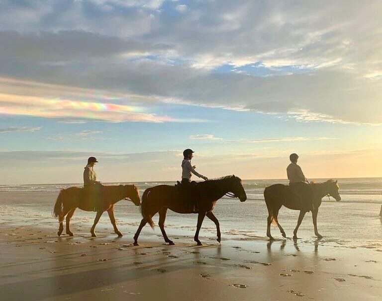 Luxury horse riding experience in Byron Bay