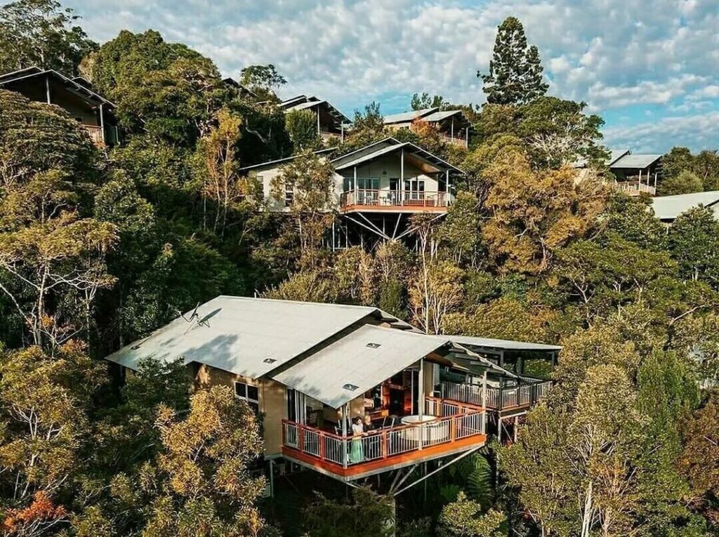 corporate rainforest retreat