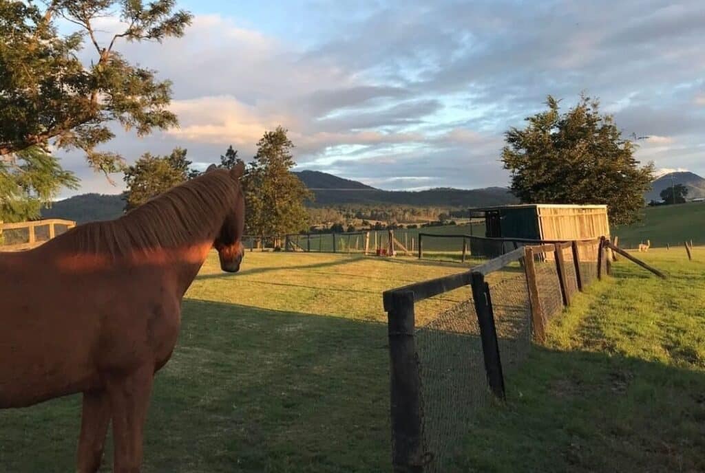 Gold Coast hinterlands accommodation