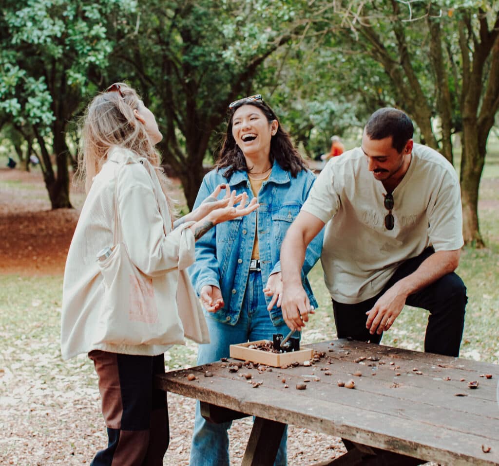 macadamias at The Farm Byron Bay