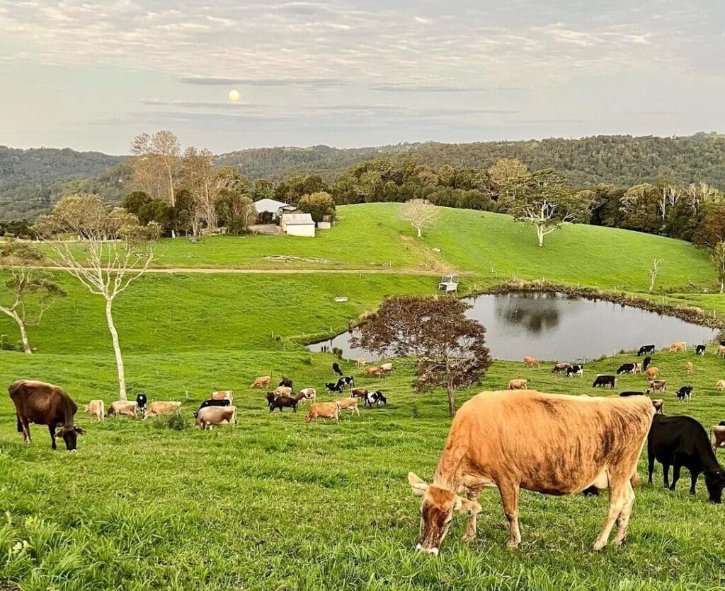 Wittacork Farm Stay accommodation