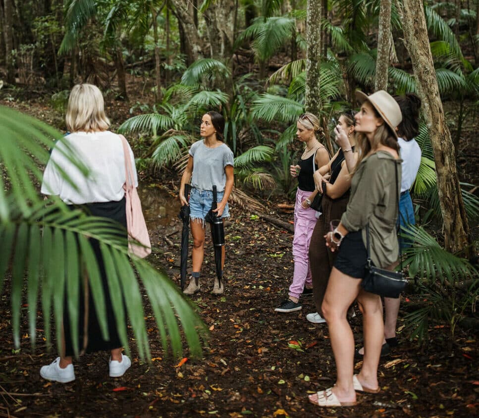 Cape Byron Distillery rainforest tour