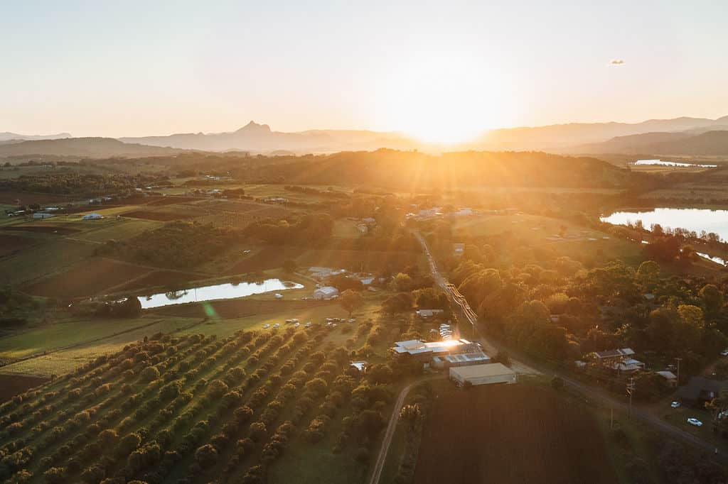 earth beer company tweed hinterland