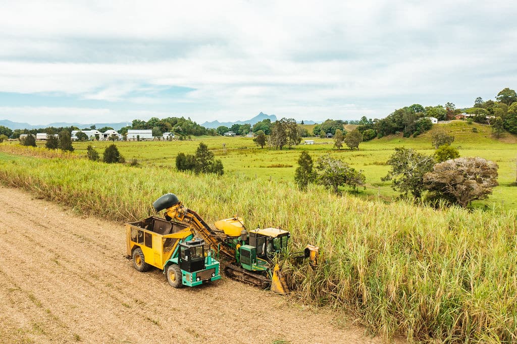 Husk Distillers sugar cane harvest in the Tweed Valley