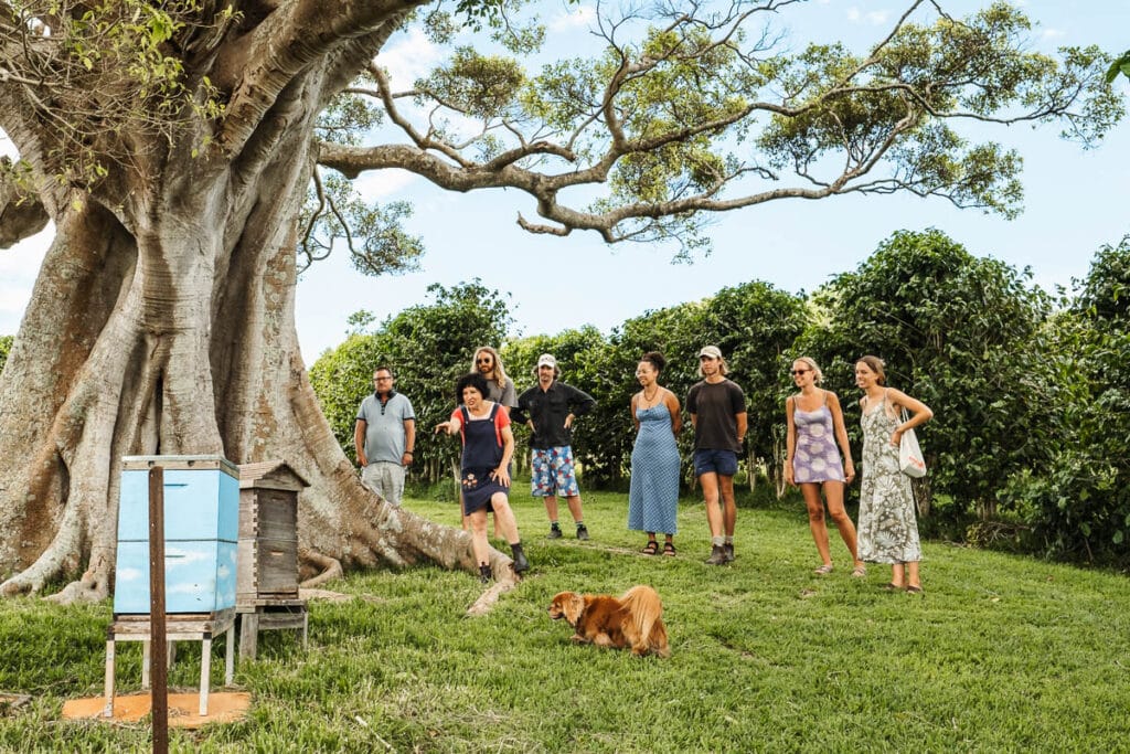 Australian single-origin coffee