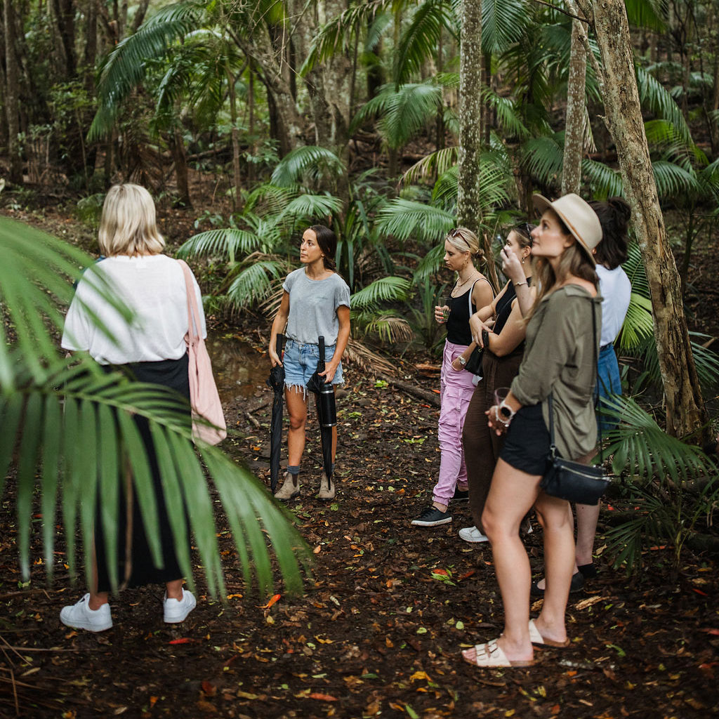 byron bay day tour