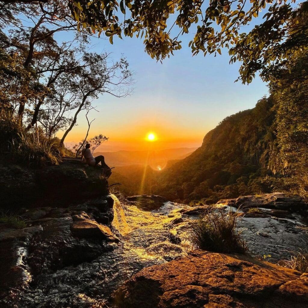 falls gold coast hinterland