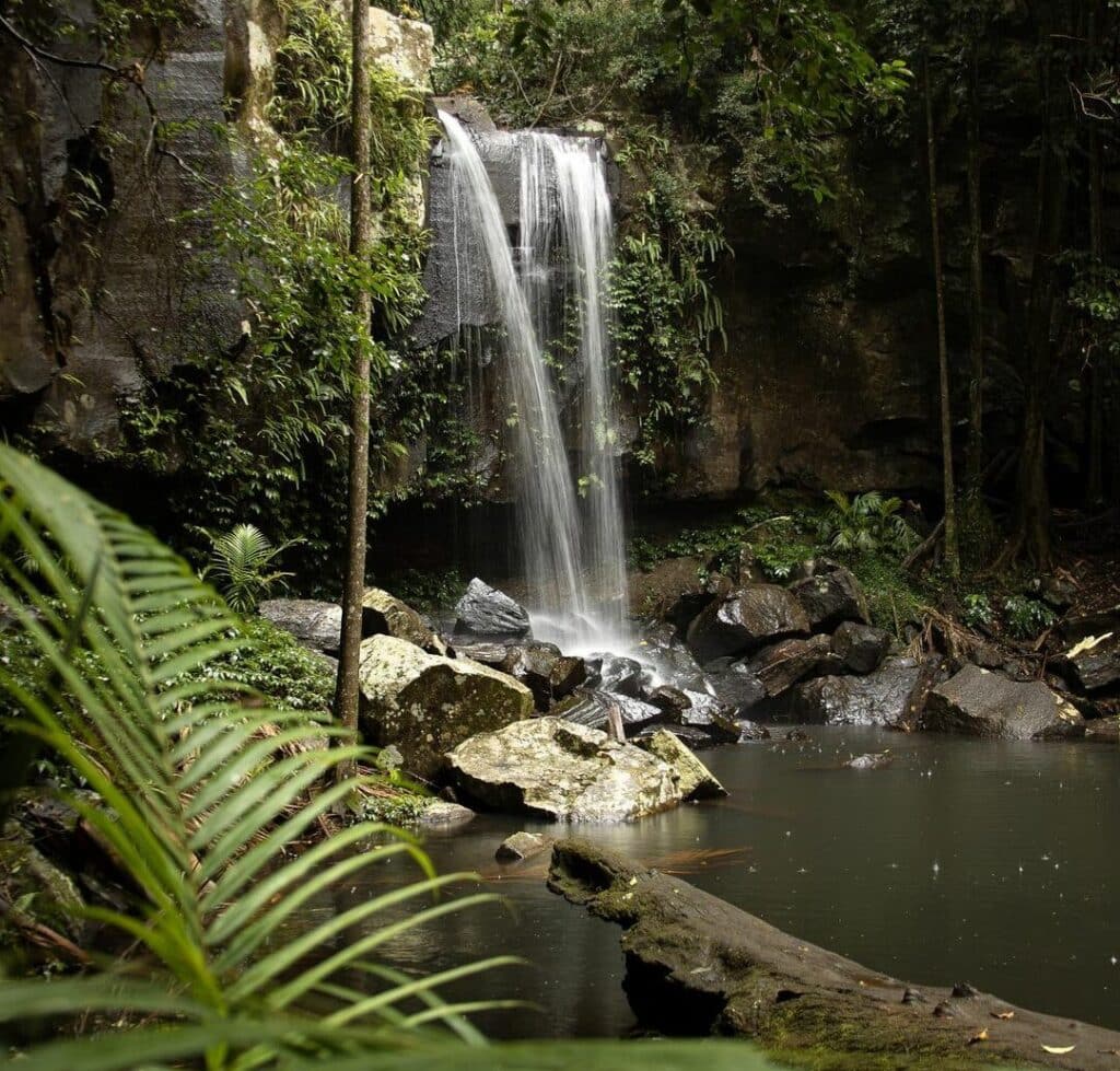 gold coast waterfalls