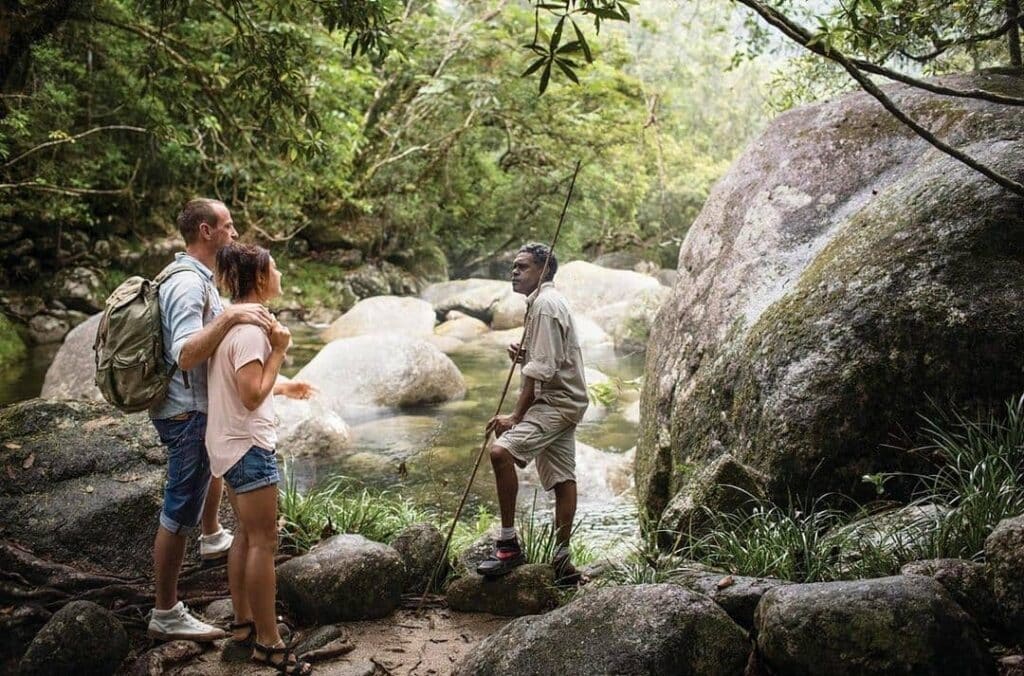 places to honeymoon daintree rainforest