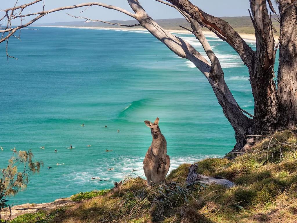 brisbane road trips